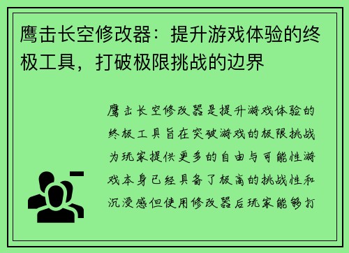 鹰击长空修改器：提升游戏体验的终极工具，打破极限挑战的边界